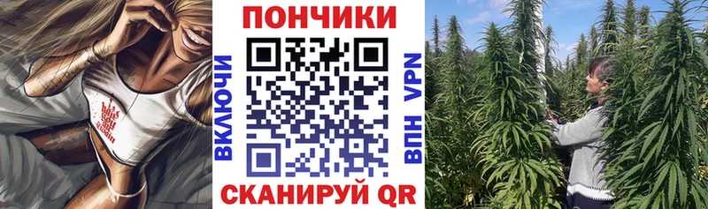Каннабис гибрид  купить закладку  Южно-Сухокумск 